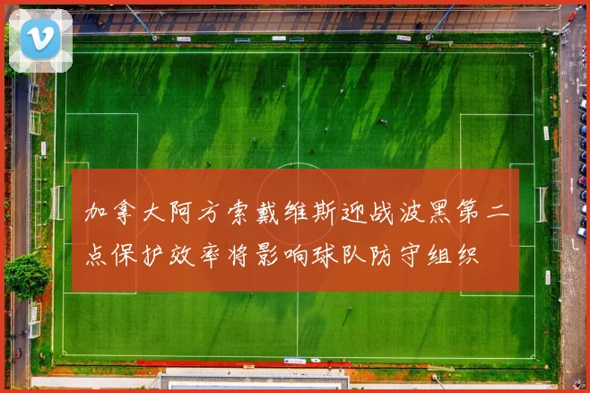 加拿大阿方索戴维斯迎战波黑第二点保护效率将影响球队防守组织